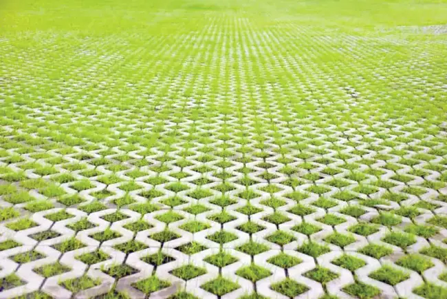Eco-friendly grass pavers and grids that support green landscaping while maintaining strength and drainage.